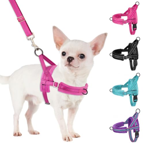 SlowTon No Pull Small Dog Harness and Leash Set with Front Clip - color: Fuchsia, size: X-Small