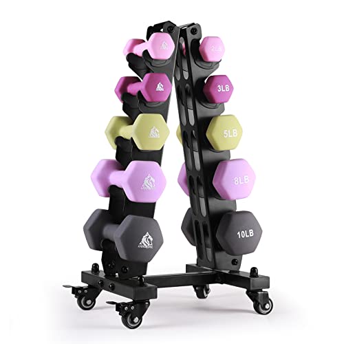 LIONSCOOL Set of 2 Neoprene Coated Dumbbell Hand Weights, Anti-Slip and Anti-Roll Hex Dumbbells in Pair for Strength Training, Resistance Training - style: 56LB, 10 pieces with rack