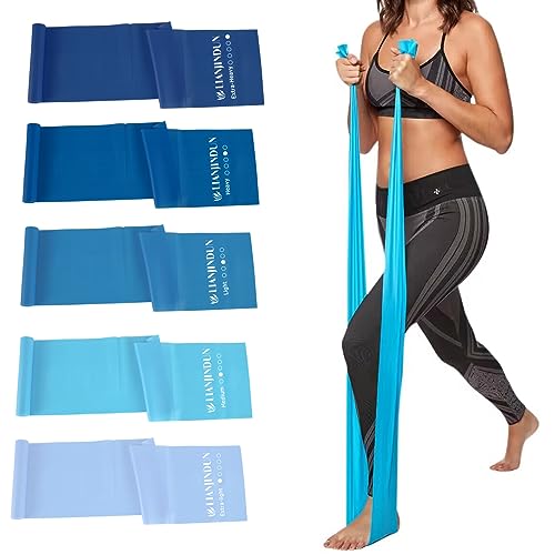 Lianjindun 5 Pcs Professional Resistance Bands. Latex-Free, Pilates Band, Work Out Bands, Stretch Bands for Working Out Women or Men, Exercise Bands Set for Pilates, Physical Therapy, Yoga - color: Gradient Blue Set