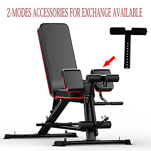 Utility Weight Bench with Leg Extension - Multi-Position Adjustable Bench for Strength Training, Dumbbell Exercise and Ab Workouts