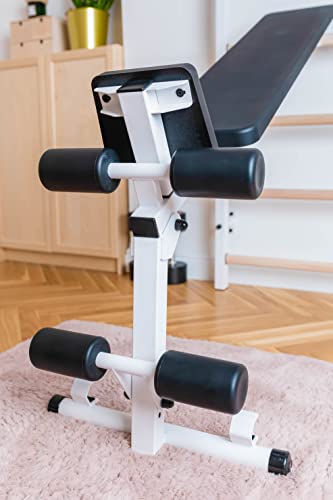 Swedish Ladder Wall Bar - Indoor Chin Up Bar Workout Equipment for Home Exercise, Physical Therapy, Gymnastics, Fitness (WallBars + Convertible Pullup Bar + Dip Bars + Bench, White)