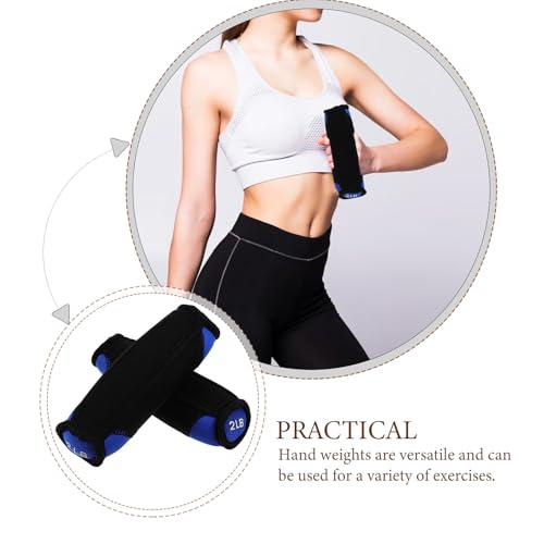 Beavorty Soft Dumbbell Hand Weights Pair 2lb Each Blue Running Fitness Equipment Sandbag Hand Trainer for Home Arm Exercise and Strength Training