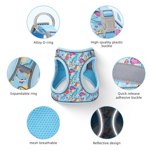 Step in Dog Harness and Leash Set, Flower Adjustable Easy Walk Puppy Harnesses, Soft Mesh Pet Vest Harness Small Size Dog Adjustable No Pull Dog Harness for Small Dogs and Cats(Dinosaur1, XS)
