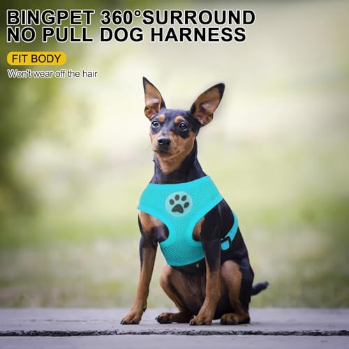 BINGPET Small Dog Harness, No Pull Step-in Puppy Pet Vest, Blue - color: Royal Blue, size: XS (NECK: 10", CHEST: 10"-14")