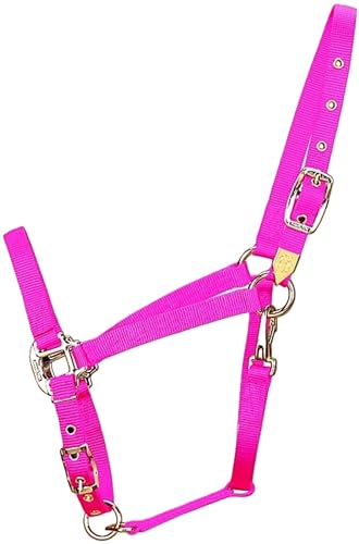 Hamilton Deluxe Horse Halter, 1" Triple Ply Nylon, Adjustable Chin Strap, Easy On/Off Throat Snap, Average Horse, Arabian, or Yearling Draft, 800-1100 lbs, Hot Pink - color: Hot Pink, size: Average, 800-1100lbs