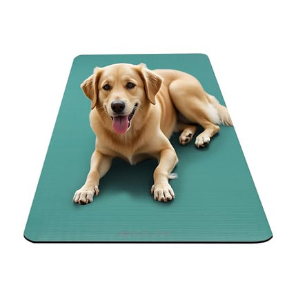 Gaiam Yoga Mat, Pilates & Exercise Mat, Thick Mat 2/5" (10mm) Workout Mat with Easy-Cinch Carrying Strap for Home & Gym Workouts