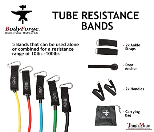 BodyForge Resistance Bands, Exercise Bands, Resistance Bands for Working Out, Work Out Bands with Handles for Men and Women Fitness, Strength Training Home Gym Equipment - size: 1 Pack