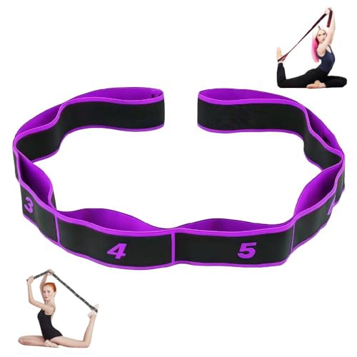 8 Sections Fitness Resistance Bands, Elastic Tension Rope, Numbered Resistance Bands for Glutes, Dance Resistance Band Fitness Resistance Exercise Pull Strap for Yoga, Pilates, Dance, Gymnastics