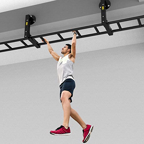 Hua Wall-Mounted, Heavy Climbing Frame, Multi-Purpose Core Strength Fitness Equipment, Suitable for Home/Gym, Load 600kg, 211x32x35cm