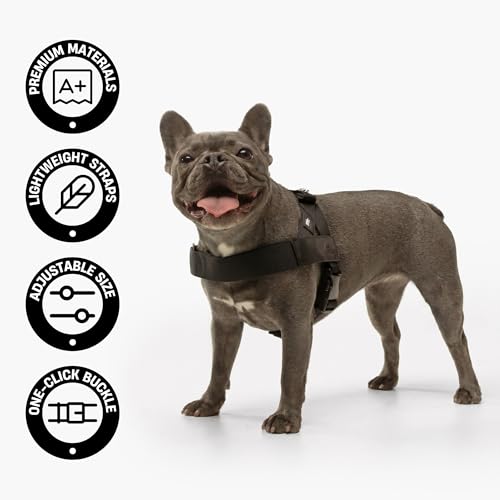 Dog Friendly Co. Dog Harness | Chafe Resistant Webbing, Adjustable Neck & Chest, and Heavy Duty D-Ring | Sturdy, Comfortable, Easy to Use | Green Camo, Size L