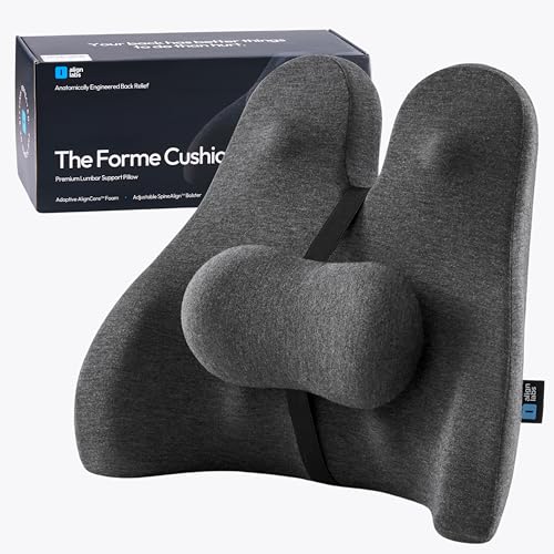 Lumbar Support Pillow for Office Chair - Lower Back Pain Relief Cushion with Adjustable SpineAlign™ Bolster, Memory Foam Pillow for Car, Couch, Gaming Seats - Dual Straps, Dark Grey