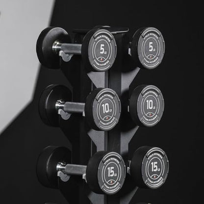 Titan Fitness Vertical Dumbbell Rack, A-Frame Configuration Protective Bumper Cradles, Home Gym Accessories