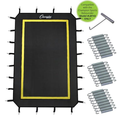 Champion Sports Deluxe Lacrosse Target: Ball Return Bounce Back Net Set for Professional, College and Grade School Training & Drills