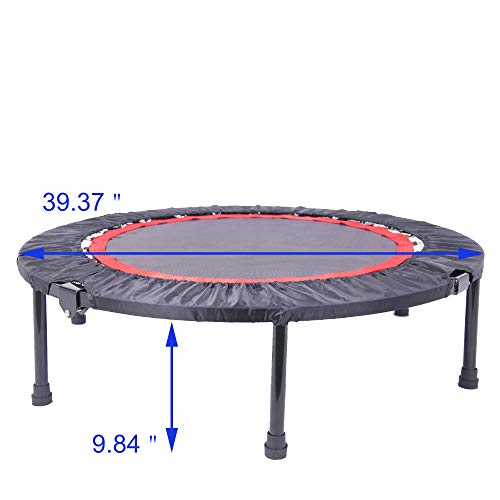 Ehao Trampoline for Kids or Adults - 40 Inch Small Trampoline Indoor Fitness Rebounder Trampoline with Safety Pad | Max 300 lbs