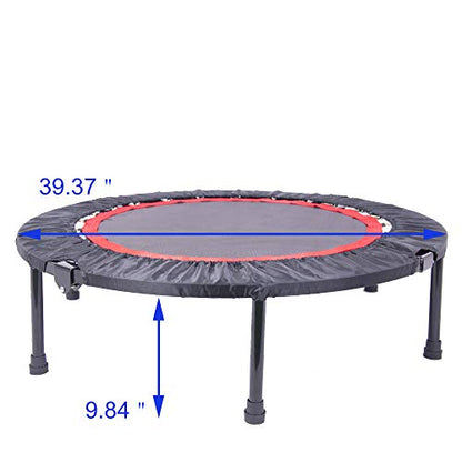 Ehao Trampoline for Kids or Adults - 40 Inch Small Trampoline Indoor Fitness Rebounder Trampoline with Safety Pad | Max 300 lbs