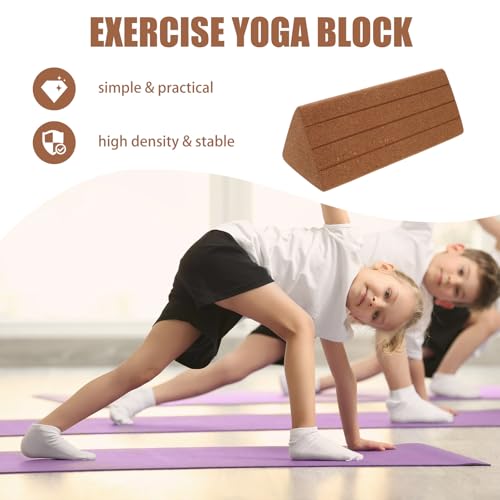 Triangle Cork Yoga Blocks Set, Non-Slip High Density Exercise Bricks for Pilates and Fitness, Lightweight Support Blocks for Stretching, Balance, and Movement Practice