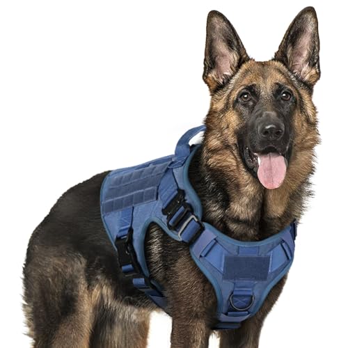 rabbitgoo Tactical Dog Harness for Large, Heavy Duty Military No Pull Vest - color: Blue, size: Large