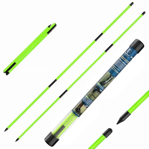 Golf Alignment Sticks 2 Pack, 48 Inch Collapsible Alignment Rods with Clear Storage Tube, Swing Training Aid for Aiming, Putting, Swing Path & Posture Correction - color: Three-stage green