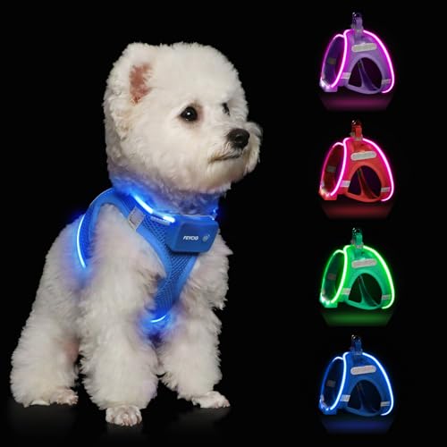 Light Up Dog Harness, Rechargeable LED Dog Harness for Small Medium Dogs - color: Sky Blue, size: L