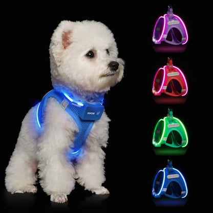 Light Up Dog Harness, Rechargeable LED Dog Harness for Small Medium Dogs - color: Sky Blue, size: L