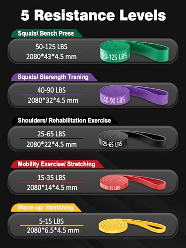 Resistance Bands Set with Handles, Exercise Bands for Working Out