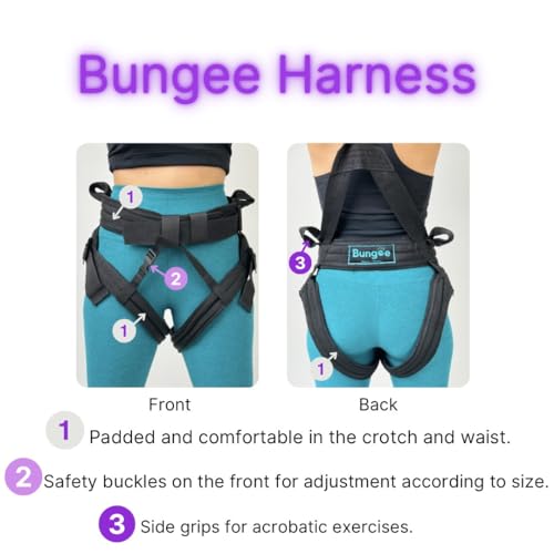 BUNGEE Harness Supports 25-95 kg Weight. Include the Harness & 1 Month Free Access to Videos, Music & Workouts - size: Large