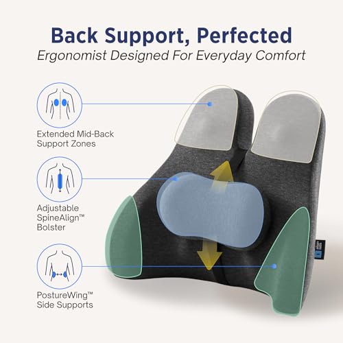 Lumbar Support Pillow for Office Chair - Lower Back Pain Relief Cushion with Adjustable SpineAlign™ Bolster, Memory Foam Pillow for Car, Couch, Gaming Seats - Dual Straps, Dark Grey
