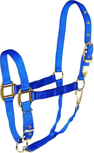 Hamilton Deluxe Horse Halter, 1" Triple Ply Nylon, Adjustable Chin Strap, Easy On/Off Throat Snap, Average Horse, Arabian, or Yearling Draft, 800-1100 lbs, Blue - color: Blue, size: Average, 800-1100lbs