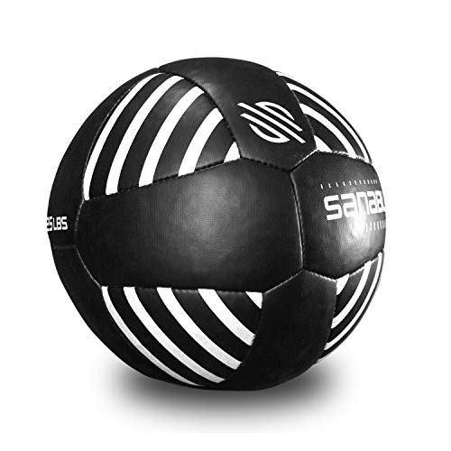 Sanabul Lab Series 14-inch Medicine Ball for Exercise Cross Training Essential Core Workouts and Explosive Fitness Exercises Weighted Ball - size: 25 lbs