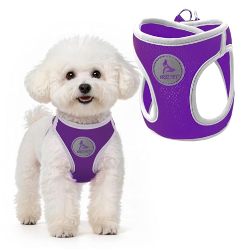 Kruz Dog Harness (Chest 14.5"-15.5", Weight 6–10 lbs) Athletica Adjustable Heavy Duty No Choke Puppy Vest for Small Dogs Lightweight Air Mesh, Reflective, Puppy Essentials – Amethyst, Small - color: Amethyst, size: Small
