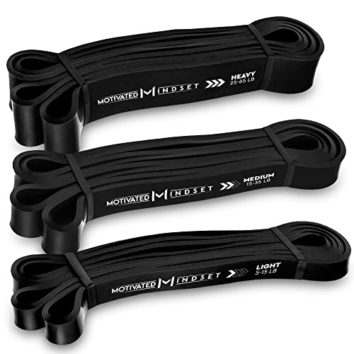 Set of 3 Resistance Bands with Travel Bag for Working Out | Heavy Duty Rubber Bands for Weightlifting and Stretching | Set of 3 (15-20lbs, 20-40lbs, 40-60lbs)