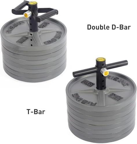 Adjustable kettlebell Handle, Heavy Duty Kettlebell Handle for Plates, Loading Pin with D-bar, Double D-bar and T-bar for Olympic Weight Plates, Hold Up 200lbs. - color: Extra D-bar