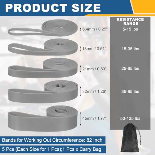 Resistance Bands for Working Out, Pull Up Bands, Pull Up Assistance Straps with Carry Bag for Home/Gym - color: Gray