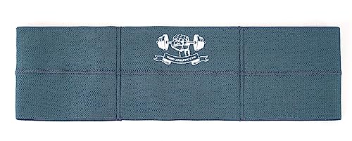 Bench Press Band Sling for Men and Women Power Weight Lifting Fitness Increase Strength Assist with Bench Press, Dips, and Push Ups - color: Blue-Level 3-Heavy Tension