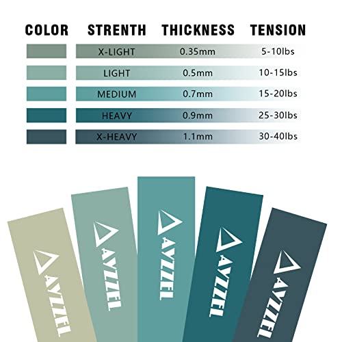 Resistance Loops Stretch Bands for Exercise, Set of 5 mini Resistance Bands for Work Out Women and Men Elastic Bands Light Medium and Heavy Resistance Level with Free Carry Bag