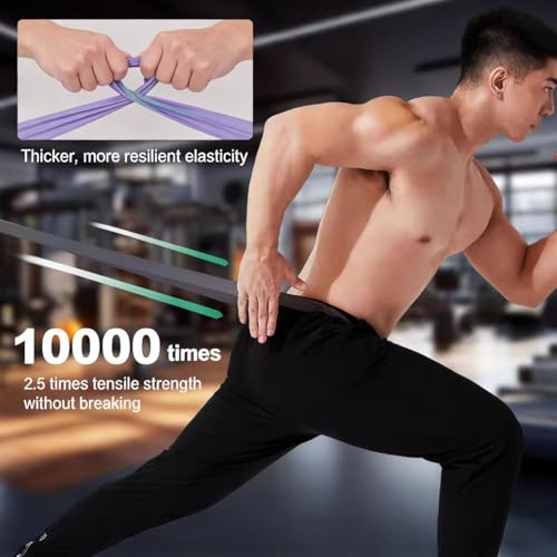 Pull Up Assistance Bands Set for Men & Women | Resistance Workout Bands, Exercise, Body Stretching, Physical Therapy, Muscle Training