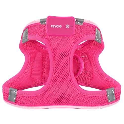 Light Up Dog Harness, Rechargeable LED Dog Harness for Small Medium Dogs - color: Pink, size: M