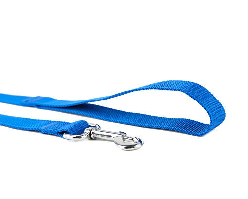 Nylon Dog Training Leash, Traction Rope, 4Ft /5 Foot /6 Feet Long, 5/8 inch 3/4 Inch 1 Inch Wide, for Small and Medium Dogs (1'' x 8 FT, Blue)