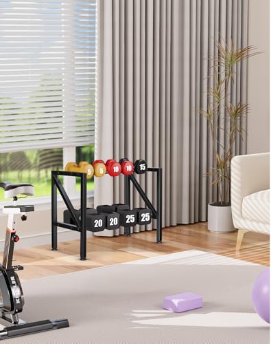 FHXZH Dumbbell Rack Stand Only - Weight Rack for Home Gym - color: Black-Small