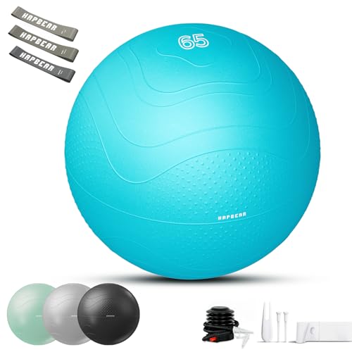 HAPBEAR Exercise Ball (22''/26''/30'') - Anti-Burst Slip-Resistant Yoga/Pilates Ball for Core Training & Posture Improvement, Home Gym/Rehab/Pregnancy Ball, Quick Pump & 3 Resistance Bands Included - color: Sky Blue, size: L (23-26IN / 58-65cm)
