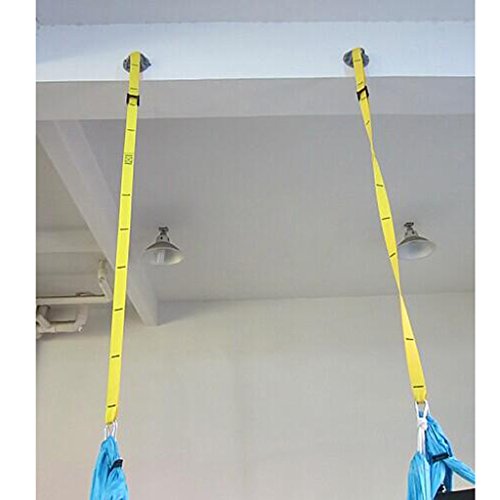 Hipiwe 2Pcs Wall Mount Bracket for Suspension Straps Ceiling Anchor Hooks - color: 2 Pcs
