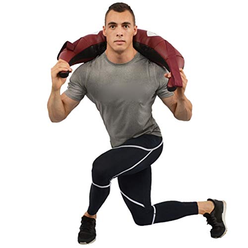 5/10/15/20 / 25kg Weight Lifting Bulgarian Sandbag Boxing Fitness Workout Equipment Physical Training Exercises Power Bag (Color : 25KG)