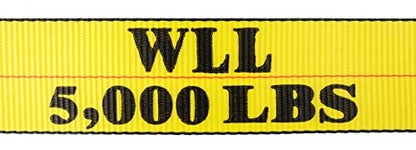 Mytee Products 3" x 30' Winch Strap with Wire Hook