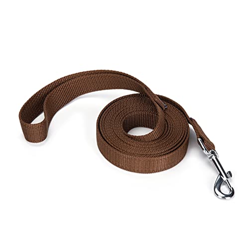 Strong Durable Nylon Dog Training Leash, 1 Inch Wide Traction Rope, 6 ft 10ft 15ft Long, for Small and Medium Dog (Brown, 10 Feet)