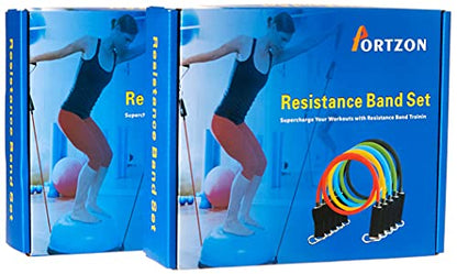 Portzon Resistance Band Set, Workout Bands, Exercise Bands Door Anchor Handle Resistance Training, Convenient, Durable, Exercise Stack-able Up to 100 lbs