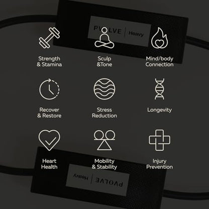 Pvolve Ankle Workout Bands- Home Gym Fitness Equipment to Exercise The Lower Body and Sculpt & Tone Legs, Glutes, and Core