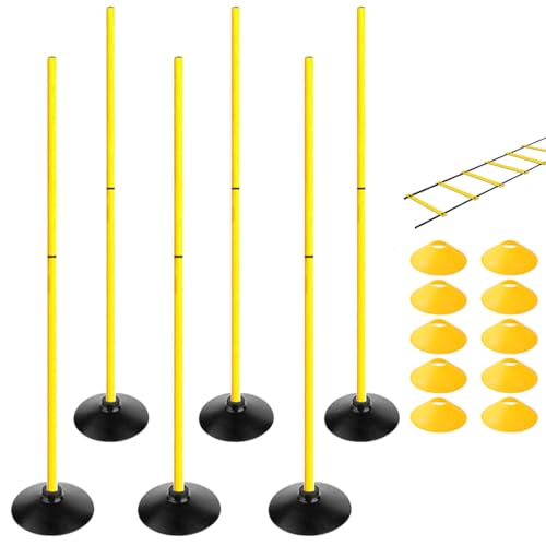 TNZMART 4.9FT Training Agility Poles Set Detachable Soccer Training Sticks Slalom Poles with 10 Disc Cones and Speed Ladder - style: Pack of 6