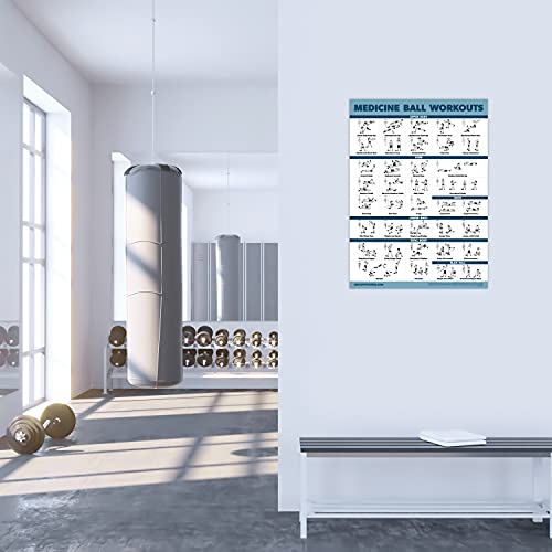 Palace Learning Medicine Ball Workout Poster - Exercise Routine for Medicine & Slam Ball [LIGHT] (LAMINATED, 18” x 24”)