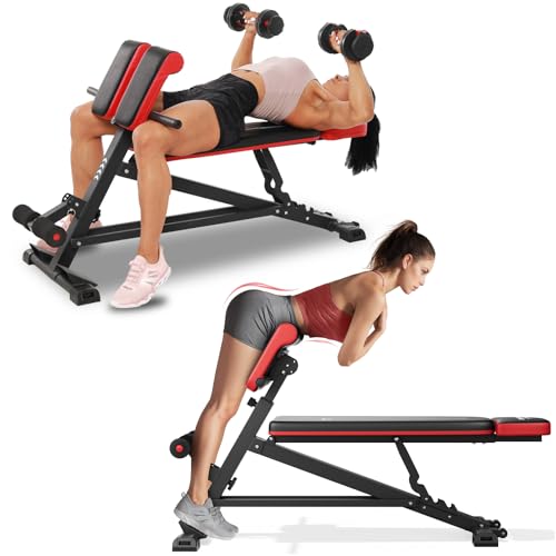 Flybird 4 in 1 Roman Chair with Adjustable Weight Bench & Sit Up Bench for Full Body Workout, Fitness equipment for HyperBack Extension for Glutes, Hamstrings & Lower Back, Multi-Purpose for Home Gym