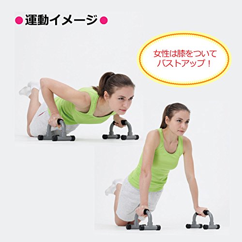 ALINCO Push Up Bar, Dip Bar, Dip Stand, Push-ups, Muscle Training, Metabolism Enhancement, Health Equipment, Household Use, Easy Assembly